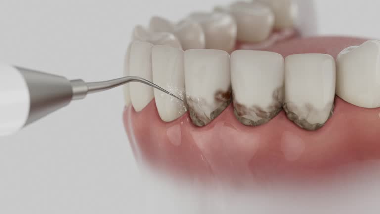 Reliable Dental contractor in Rugby, ND by Dentist Open Now